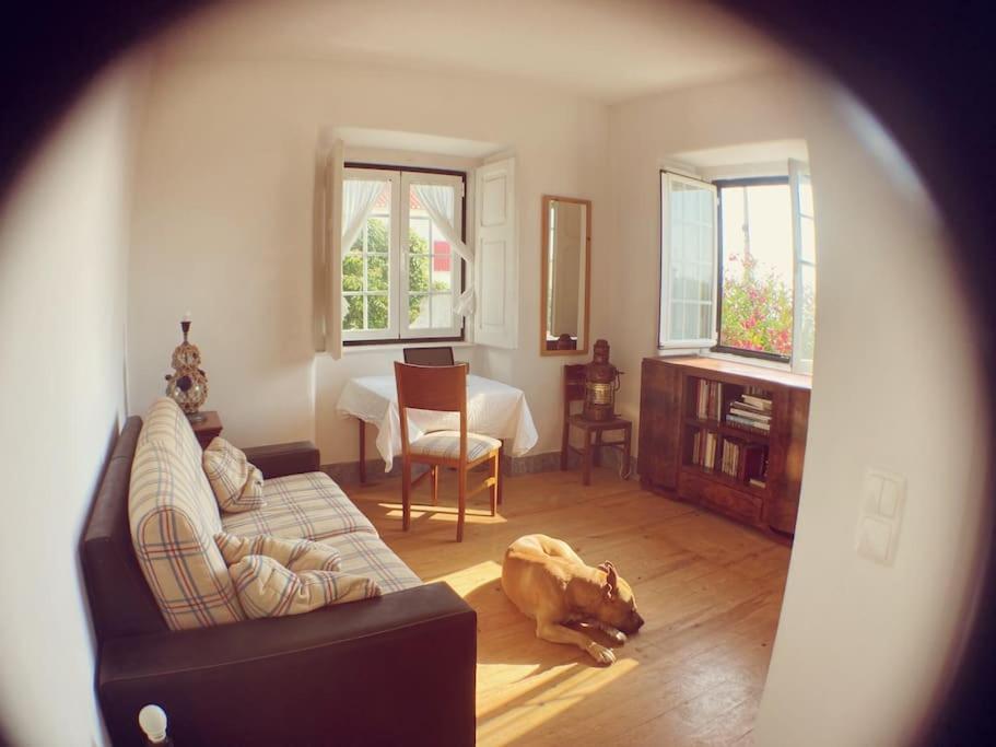 Challet Ericeira Villa Esterno foto
