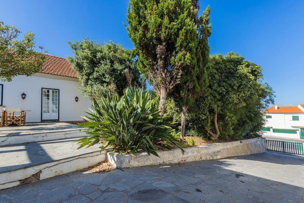 Challet Ericeira Villa Esterno foto
